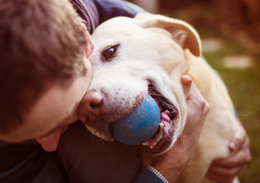 Keep Your Dog Happy: Simple Ways to Boost Their Mental Health (And Yours!)