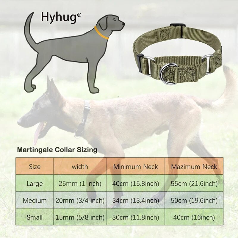 Martingale Dog Collar & Leash Set