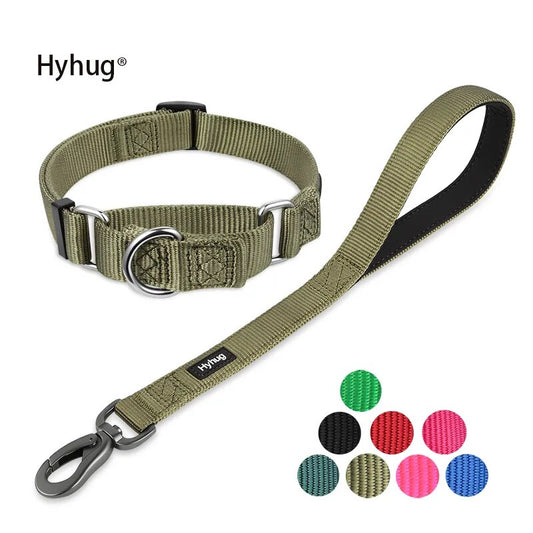 Martingale Dog Collar & Leash Set