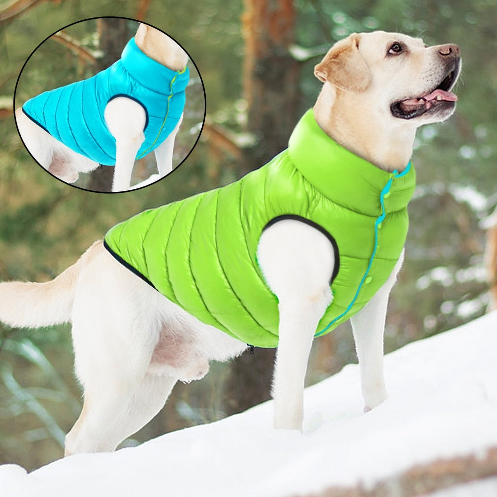 Bubble Dog Vest (Reversible)