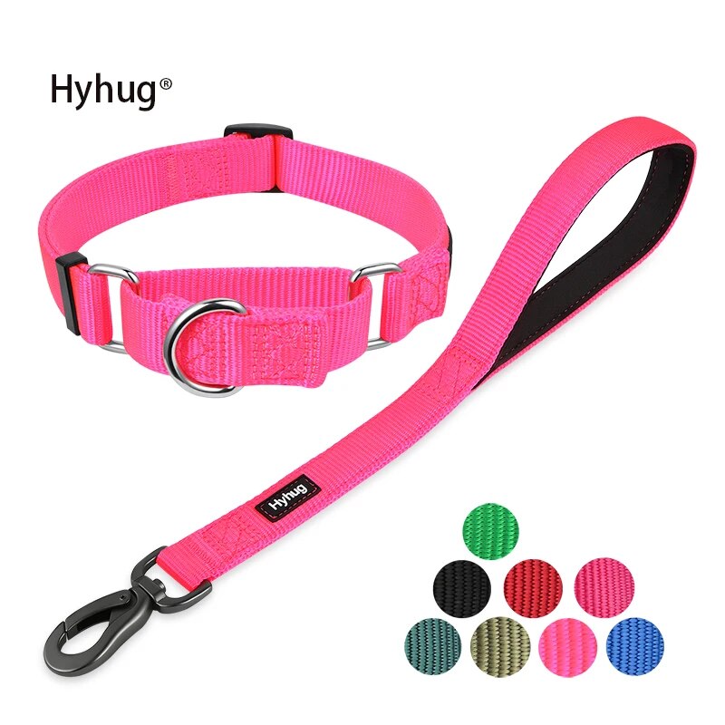 Martingale Dog Collar & Leash Set