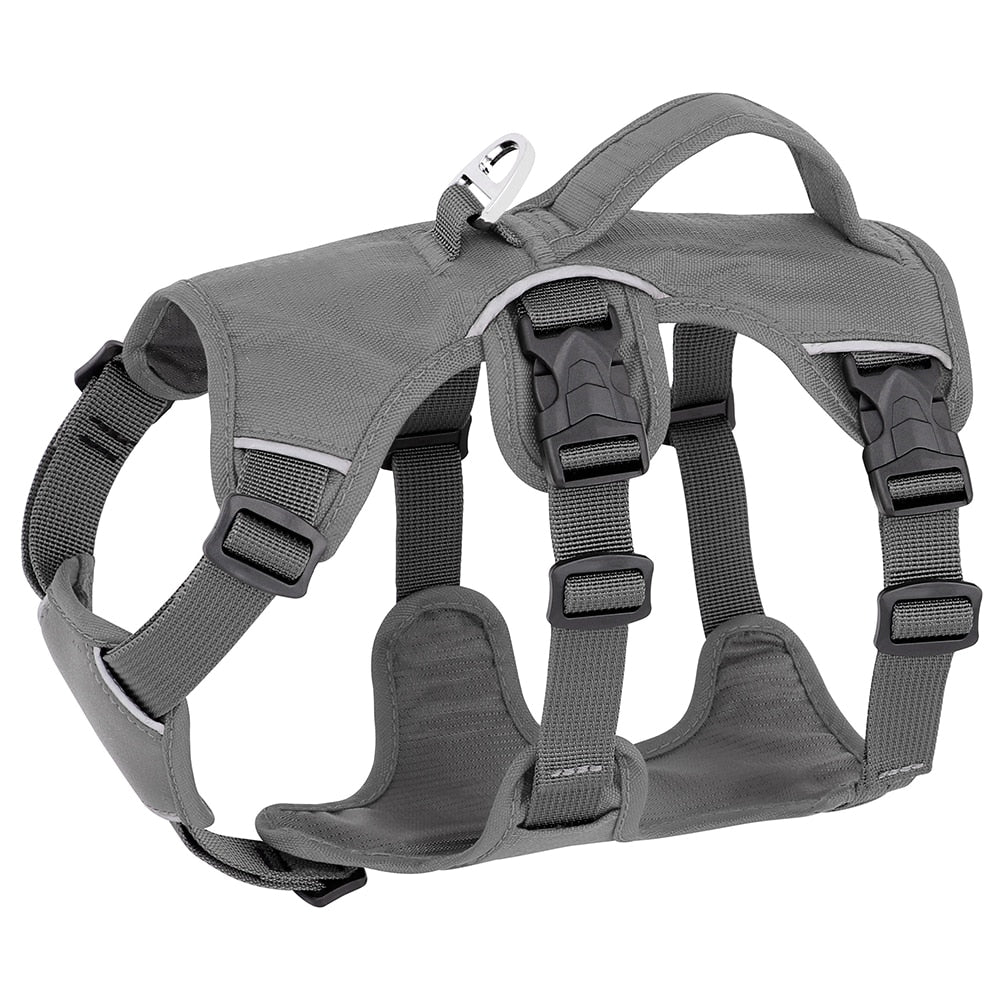 Waterproof Walking Harness