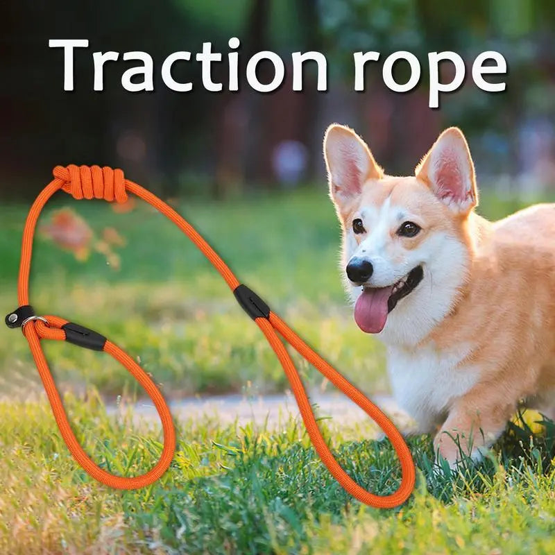 Heavy-Duty Training Leash