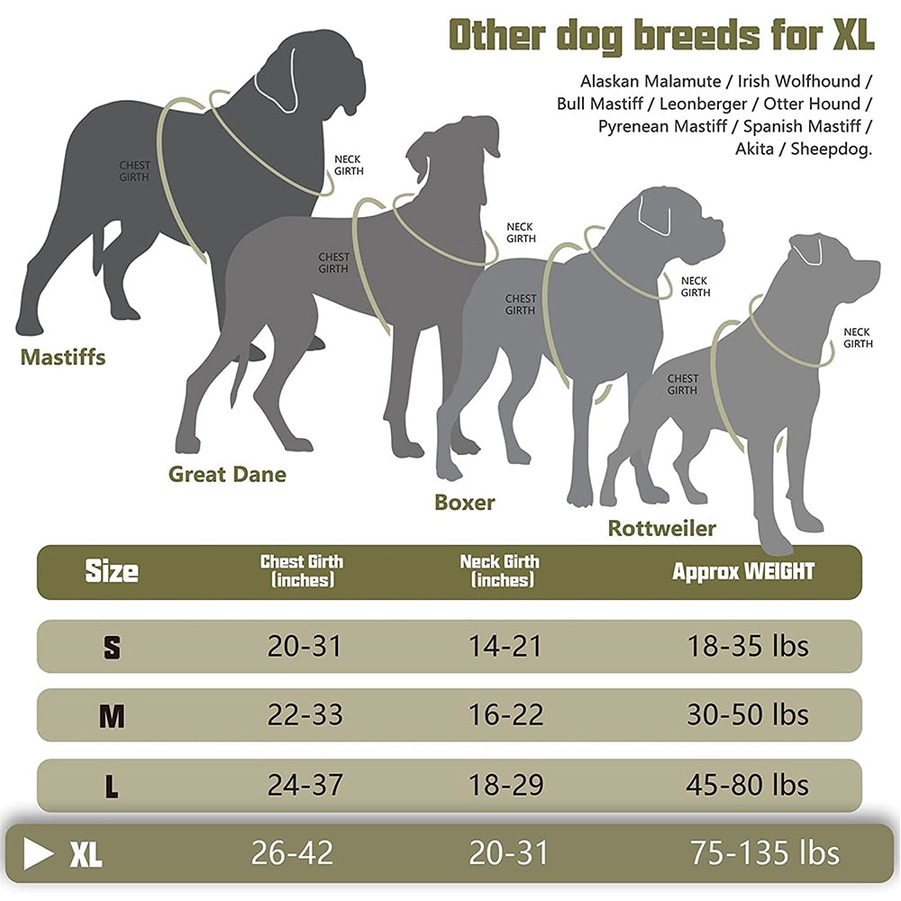 Adjustable Agility Harness