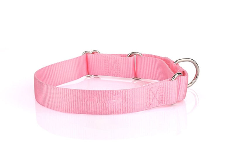 Martingale Collar - Adjustable made with strong nylon