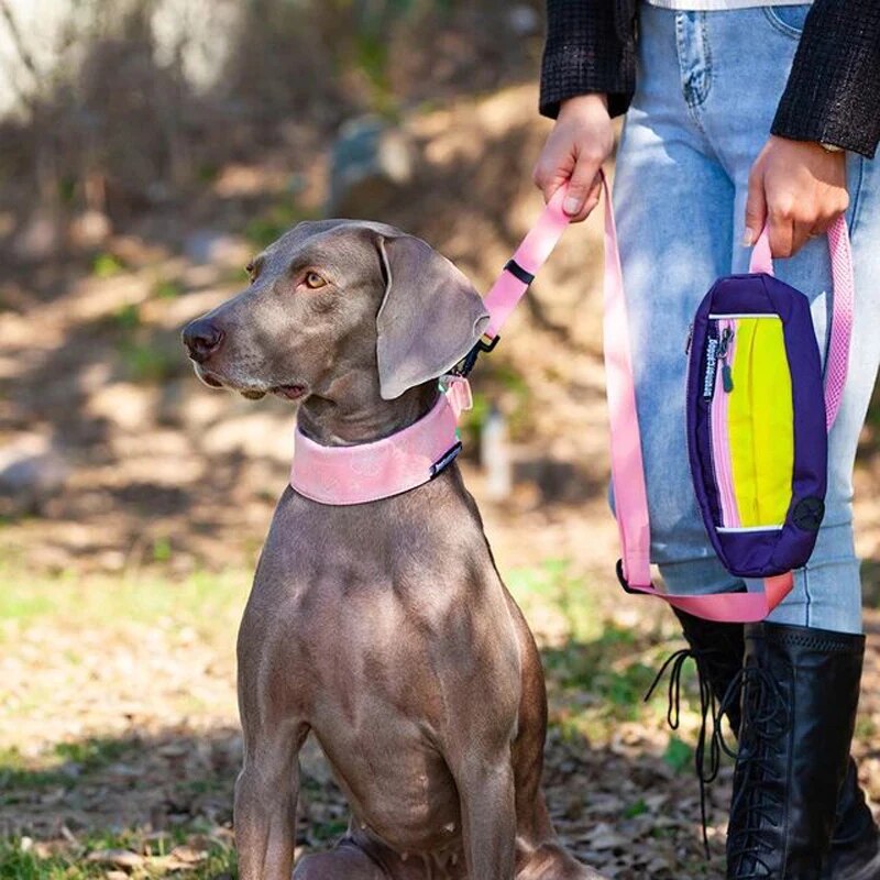 4.5cm Wide Martingale Dog Collar for All Sizes