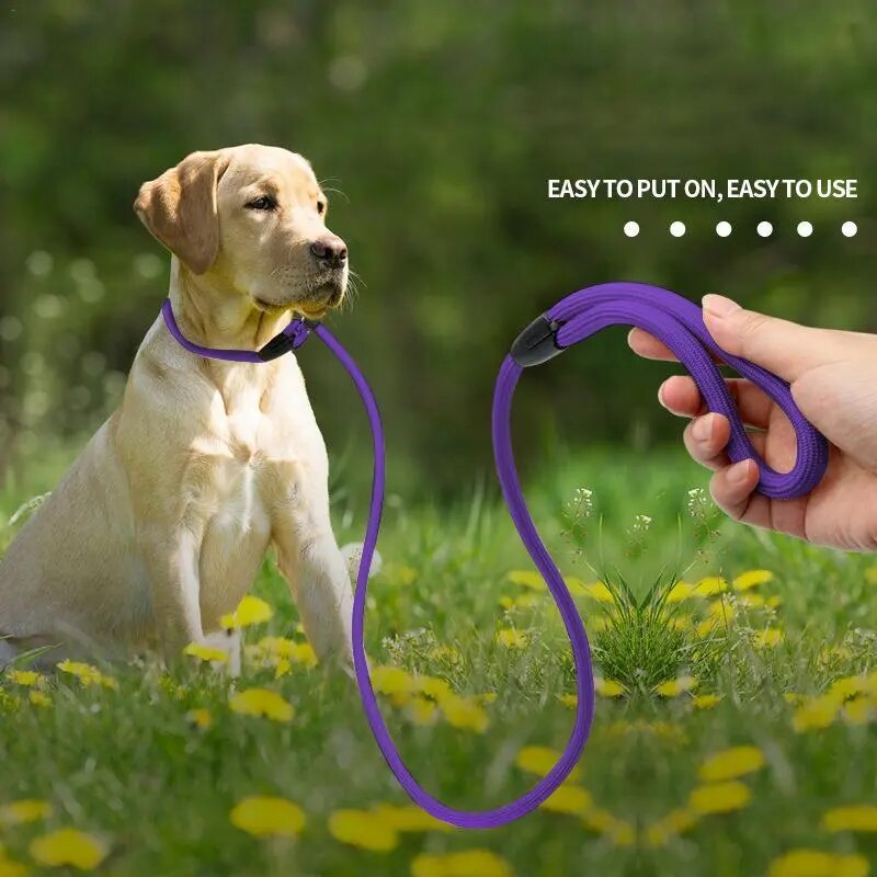 Heavy-Duty Training Leash