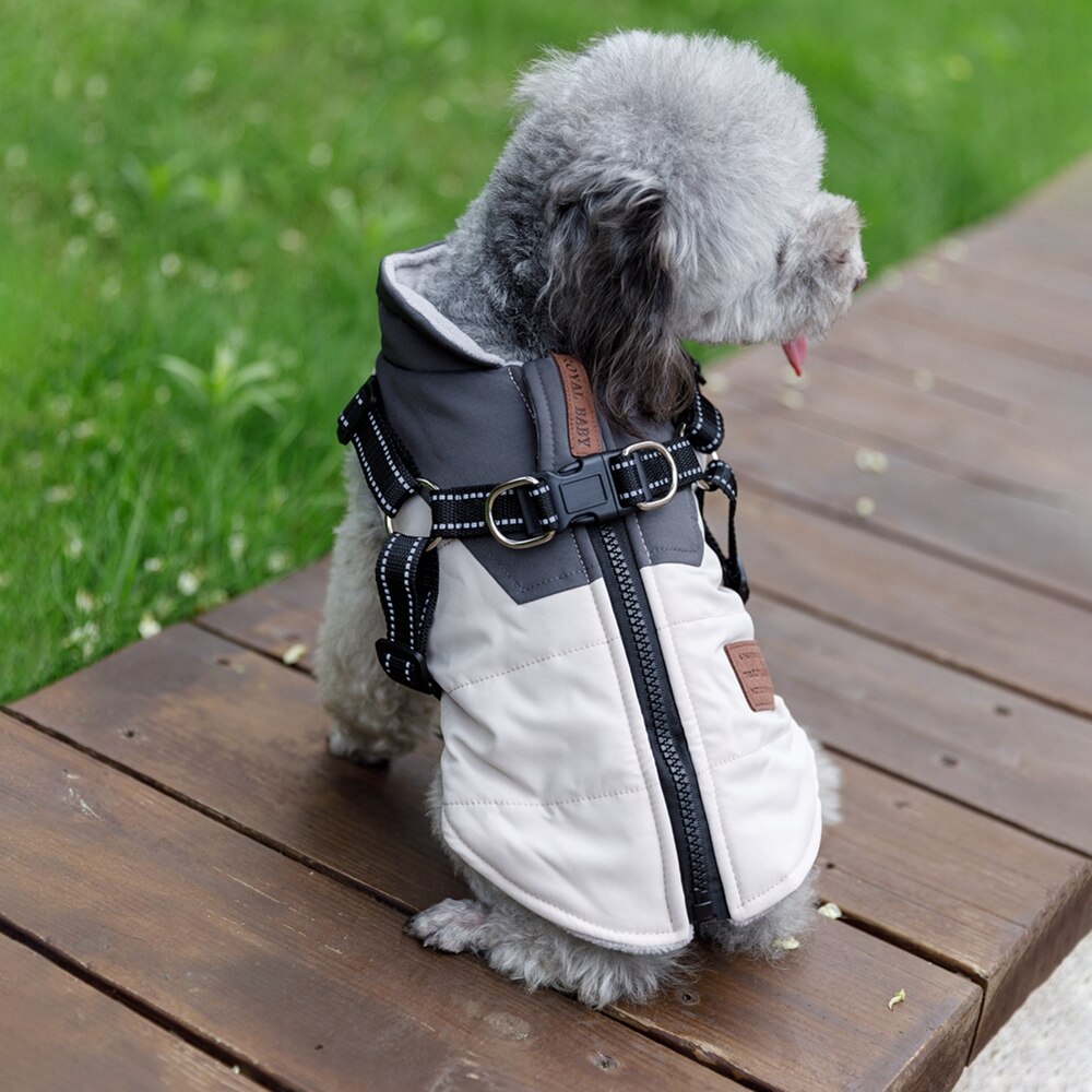 Waterproof Dog Jacket - Harness