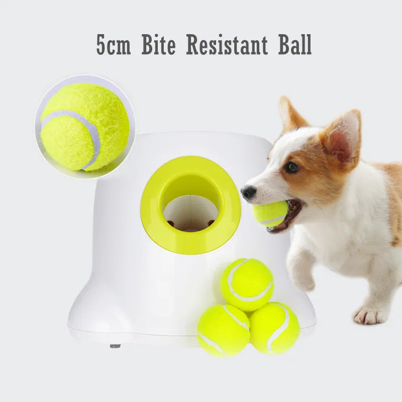 Automatic Dog Ball Launcher: 3 Balls Include