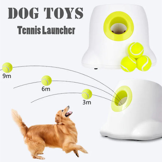 Automatic Dog Ball Launcher: 3 Balls Include