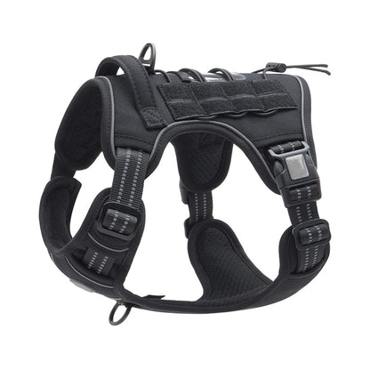 Adjustable Agility Harness