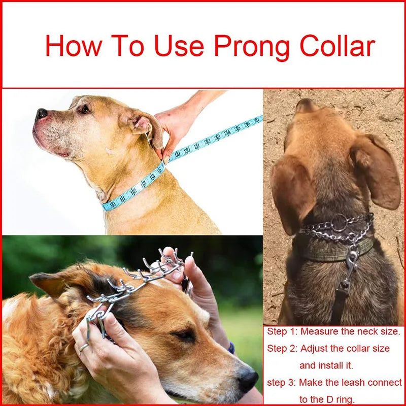 Half-Check Prong Collar