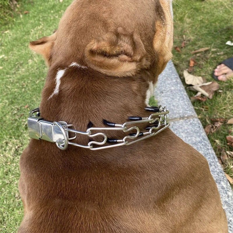 Adjustable Prong Collar with Name Plate