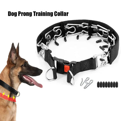 Prong Collar with Nylon cover