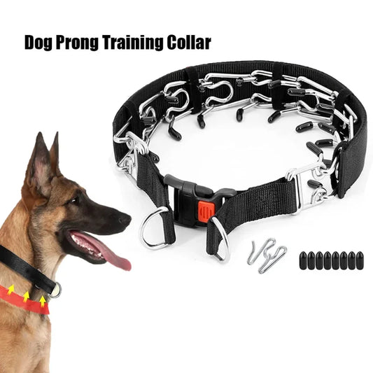 Prong Collar with Nylon cover