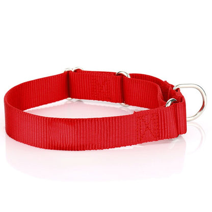 Martingale Collar - Adjustable made with strong nylon