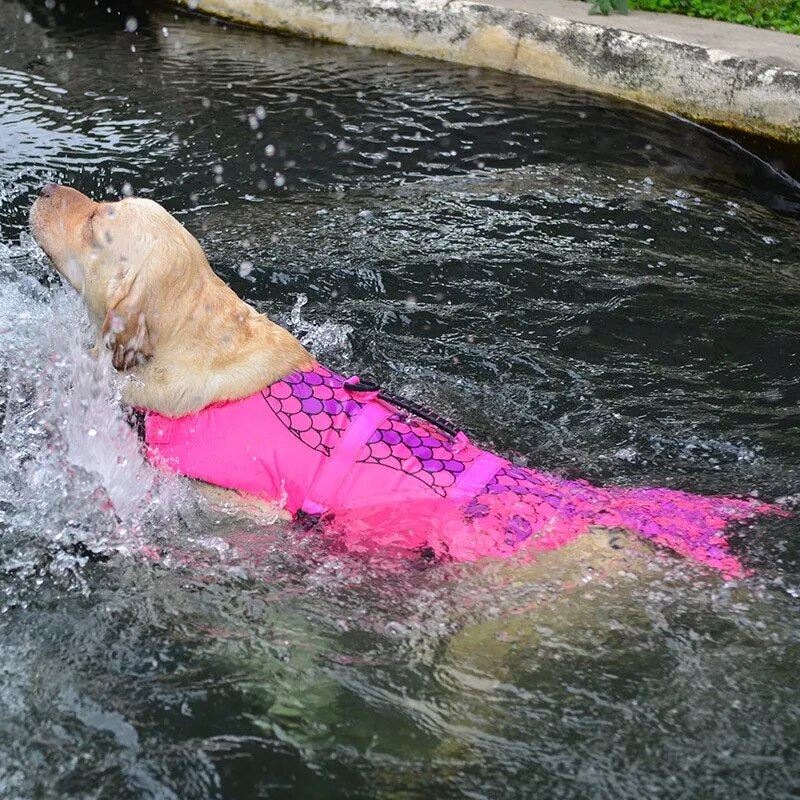 Dog Life Jacket  (Shark, Clown Fish, Dragon)