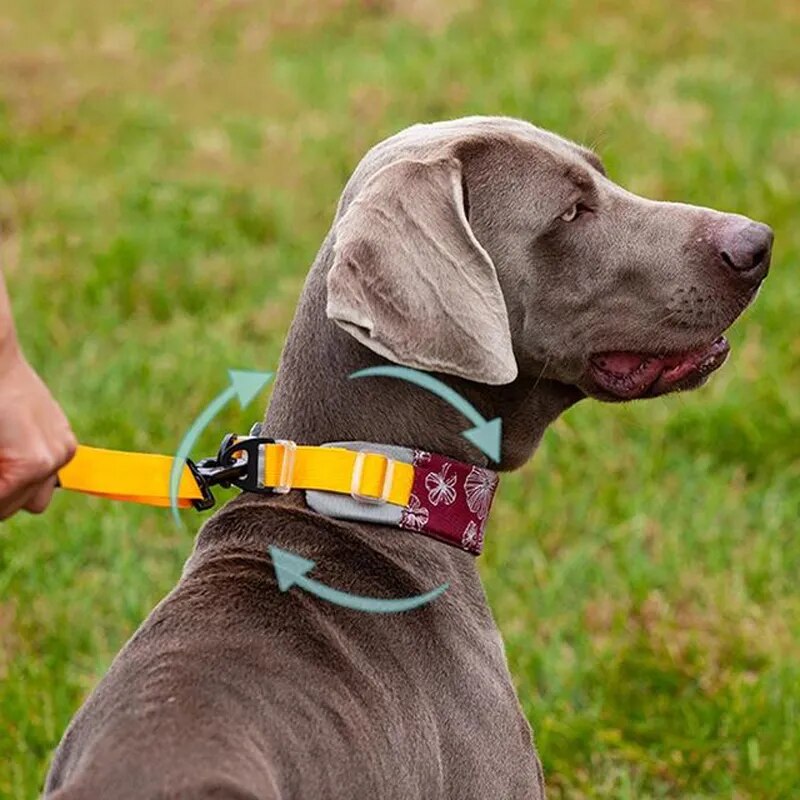 4.5cm Wide Martingale Dog Collar for All Sizes