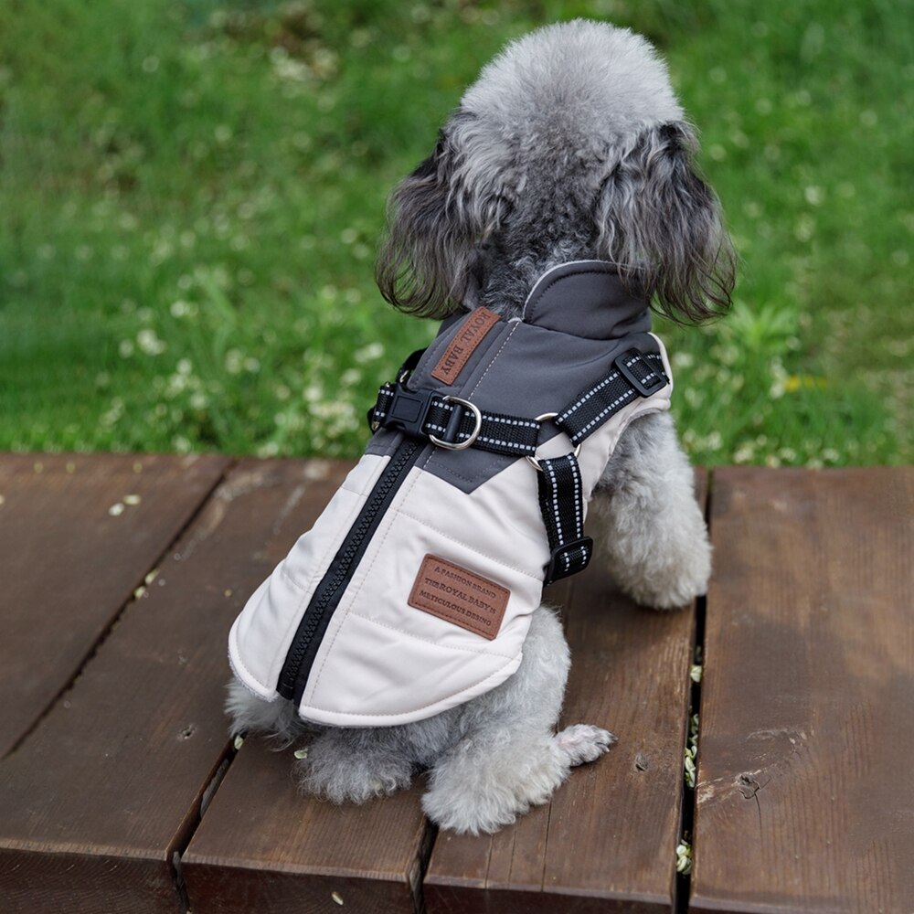 Waterproof Dog Jacket - Harness