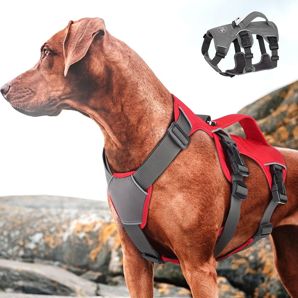 Waterproof Walking Harness