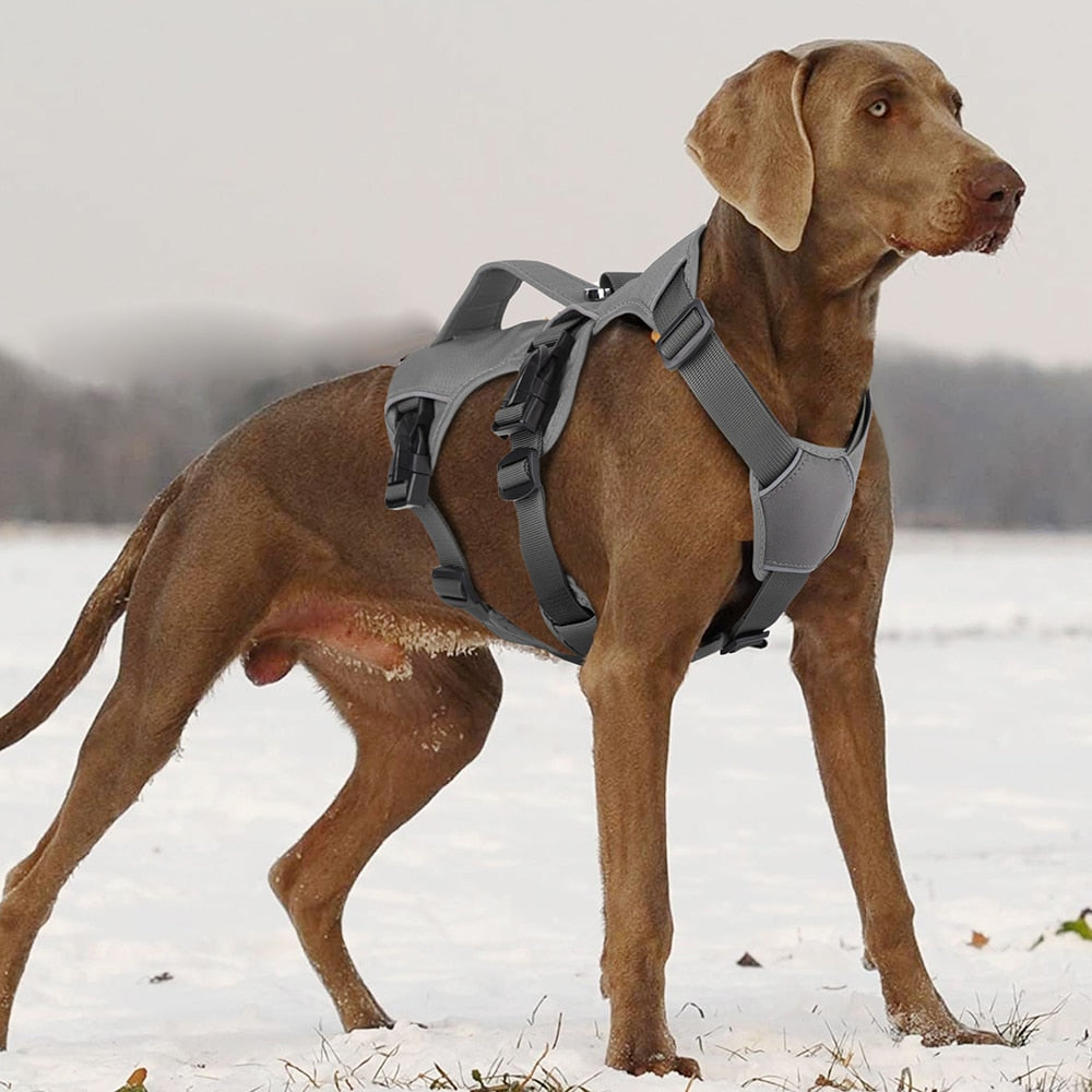 Waterproof Walking Harness