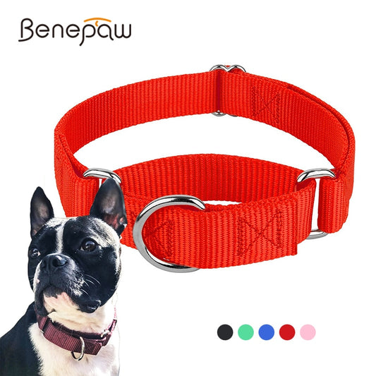 Martingale Collar - Adjustable made with strong nylon